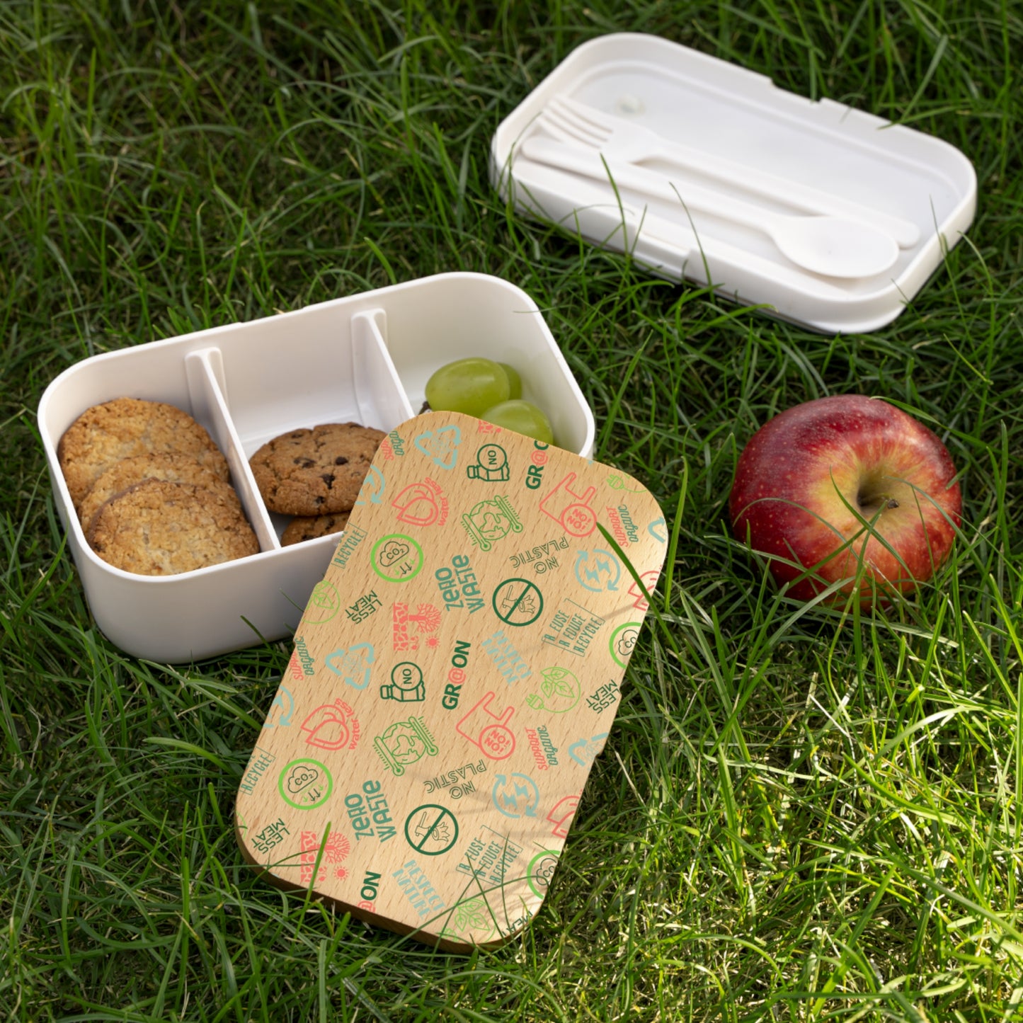Eco-Friendly - Bento Lunch Box -  Our Green Responsibility